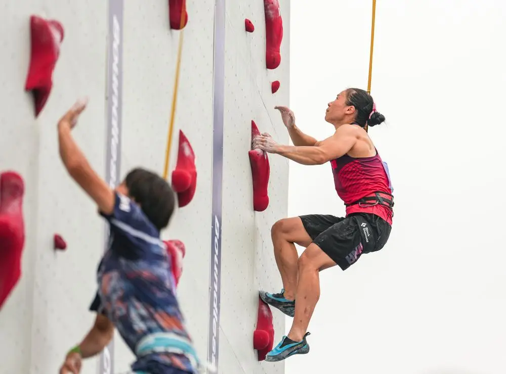 entit, 丽娟, entit