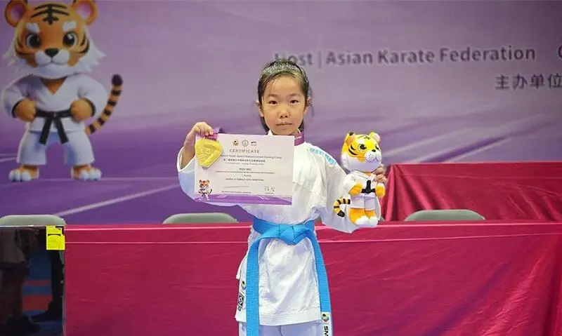 杭州临平体, 记者