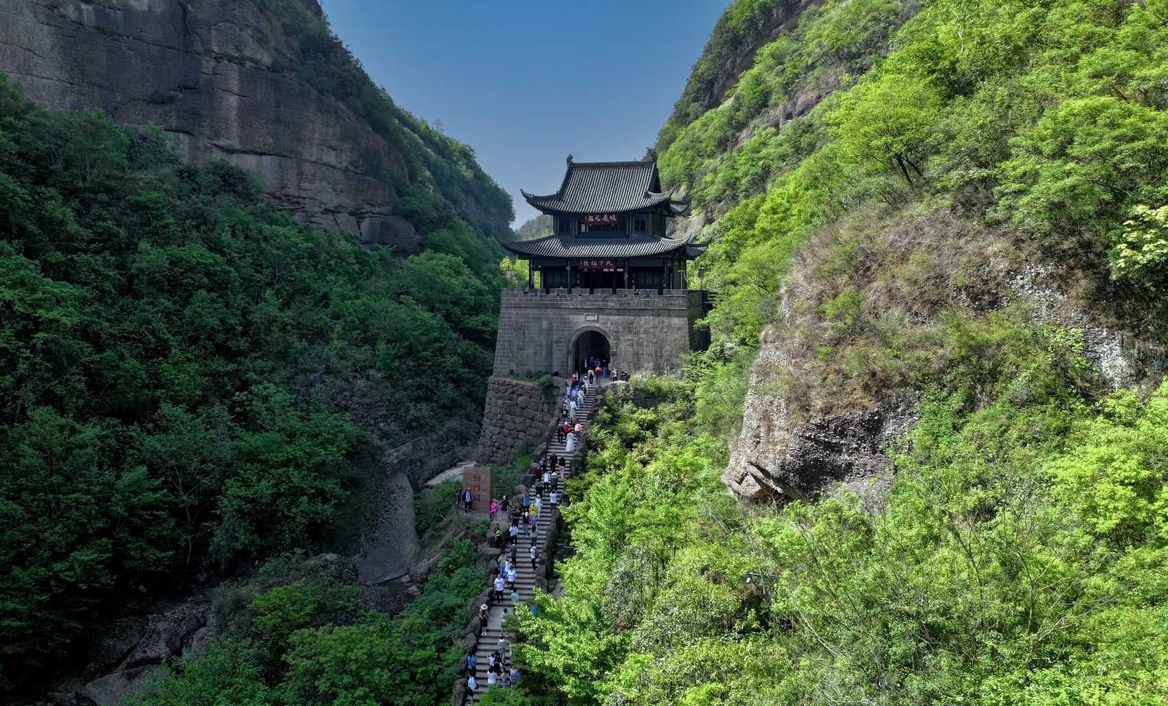 比赛门票, 福利先到 比赛门票, 福利先到